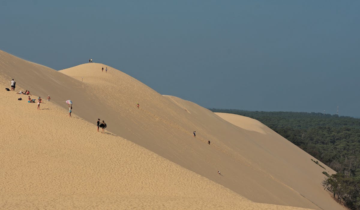 Dune du Pilat, Bassin d'Arcachon